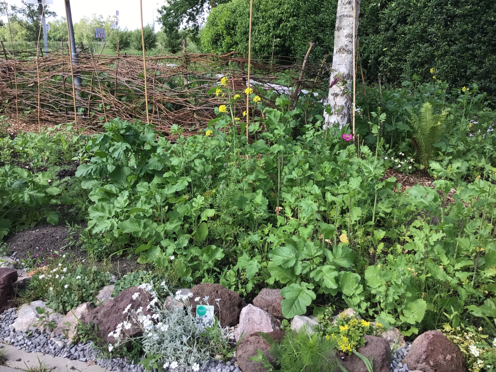 De tuin in mei
